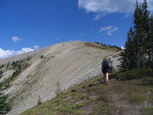The ridge top is only a 15-minute walk from the pass.