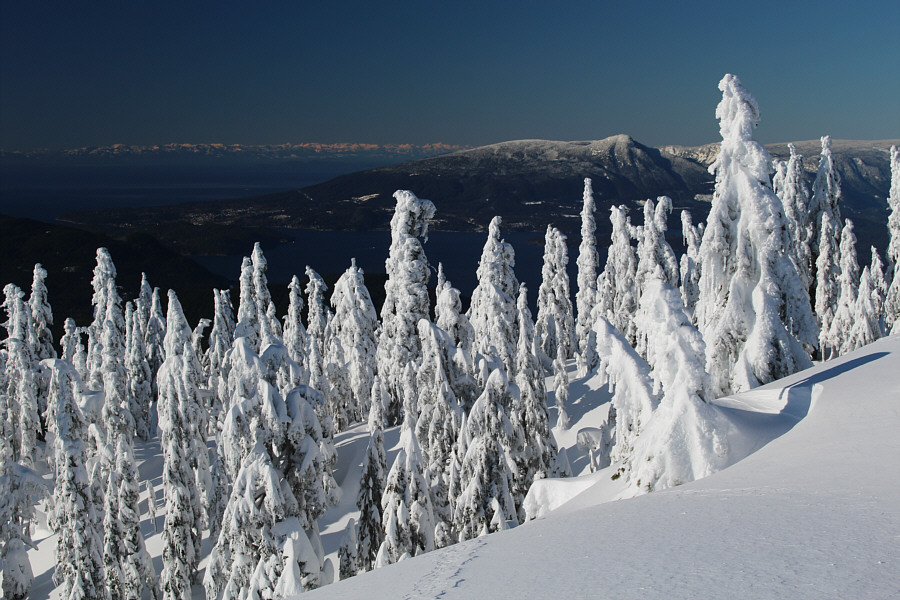 Mount Elphinestone looks like an easy ski ascent...