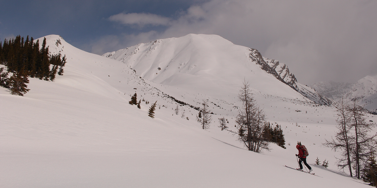 These were great conditions for uphill skinning.