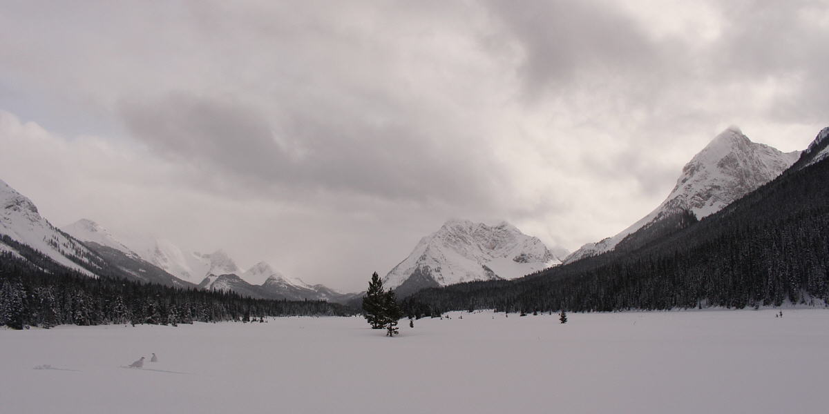 I guess the ptarmigans also enjoy the surrounding views.