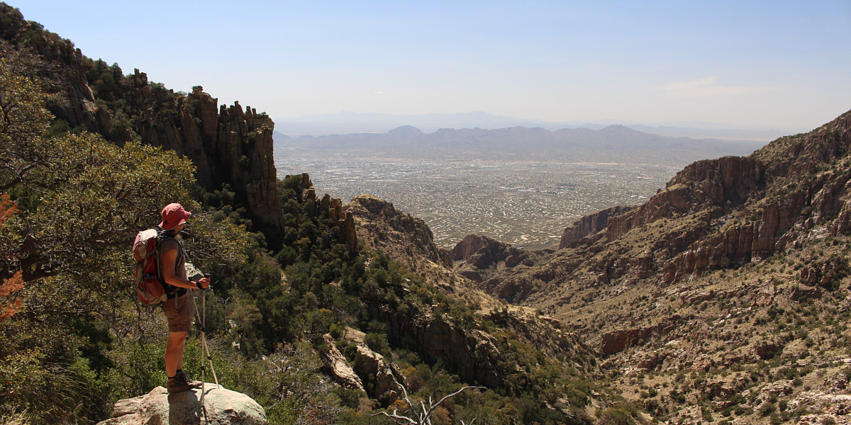 Jo Jo left his home in Tucson, Arizona for some California grass.