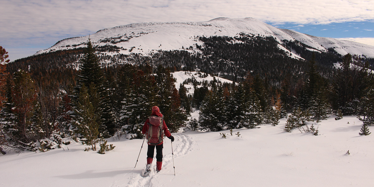 I'm amazed how far up the mountain someone drove their ATV through the deep snow!