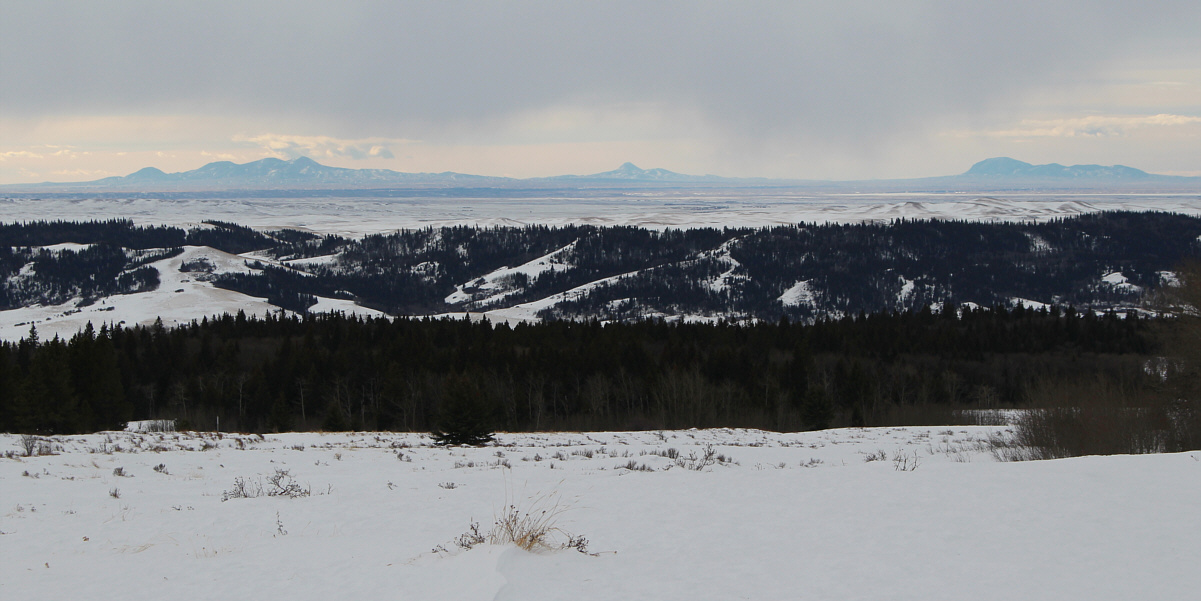 I miss hiking in the Sweet Grass Hills!