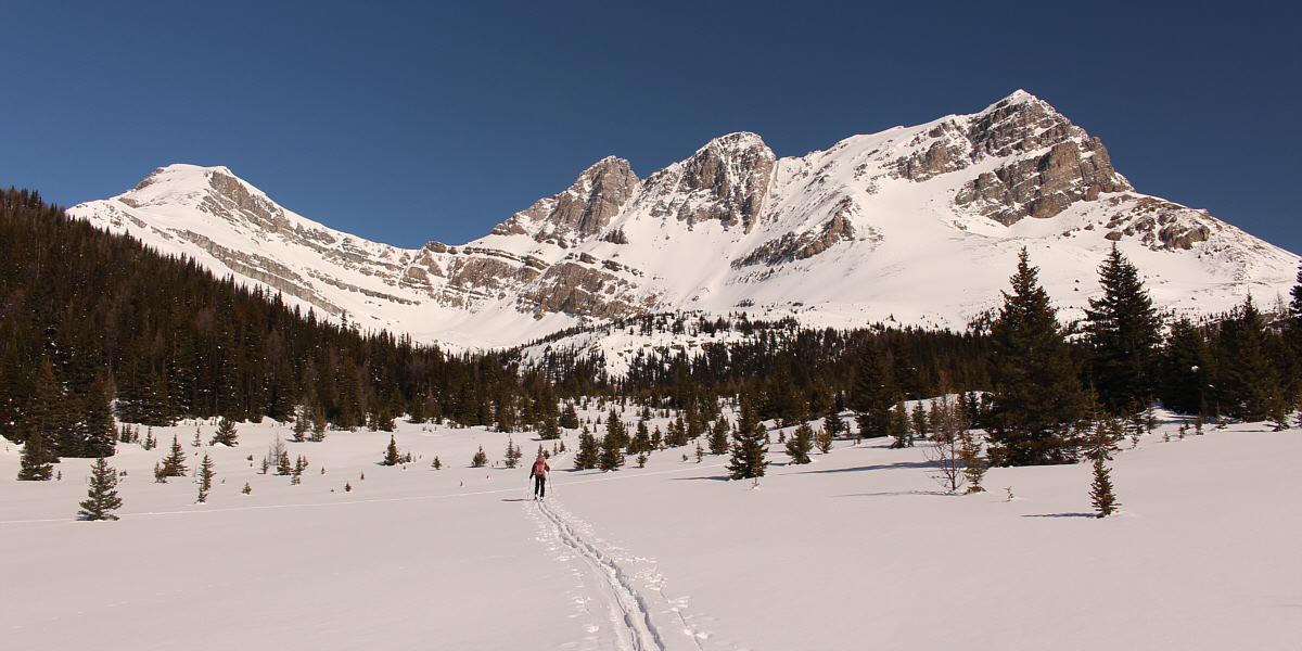 I would like to do a ski ascent of Ptarmigan Peak someday!