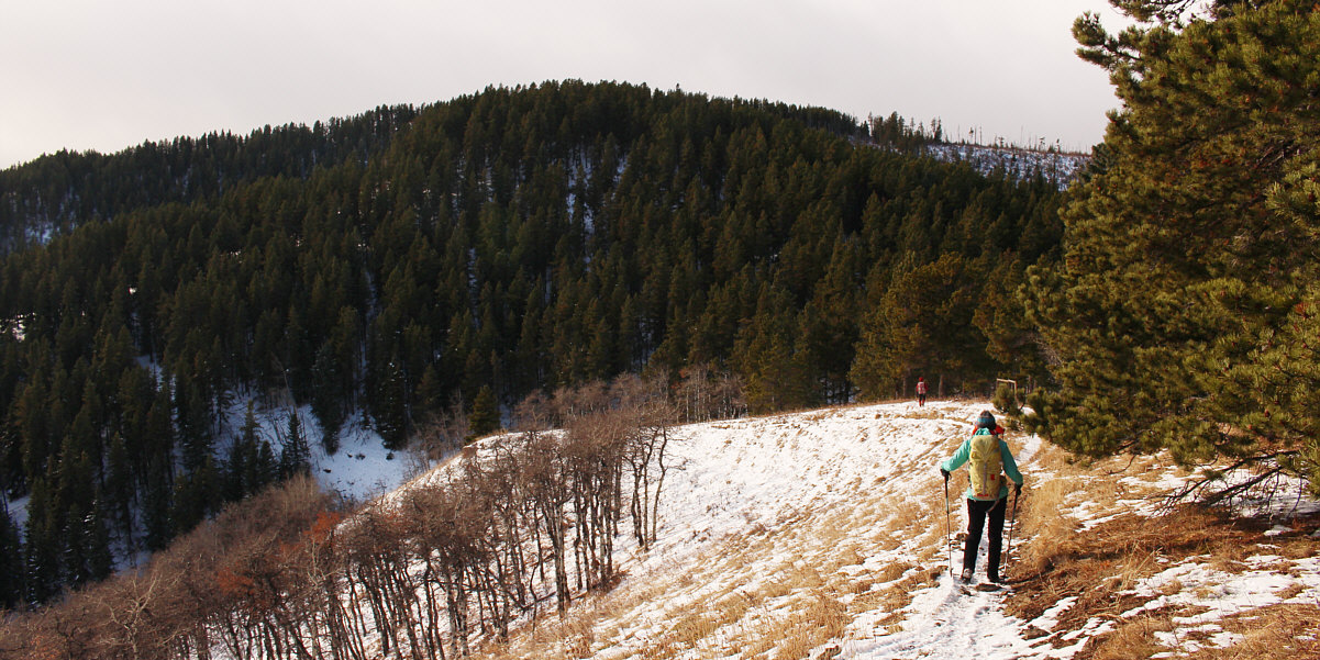 The barbed-wire fence at right was conveniently collapsed by a fallen tree which allowed us to take the short cut.