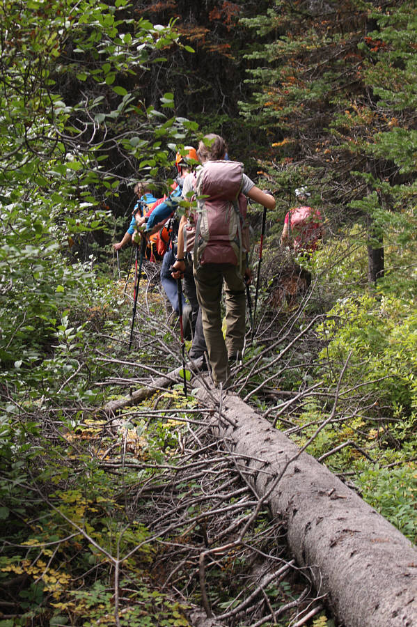 Bushwhacking always seems to be more fun in a big group!