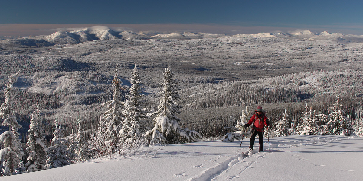 Yeah, baby! This is why we're skiing in -18C!