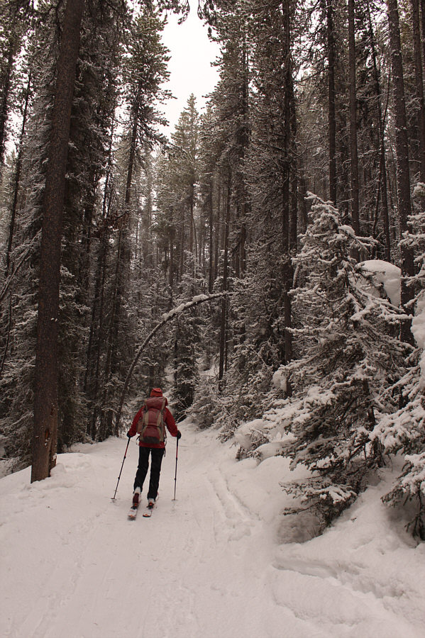 I will never ever hike or snowshoe this trail!