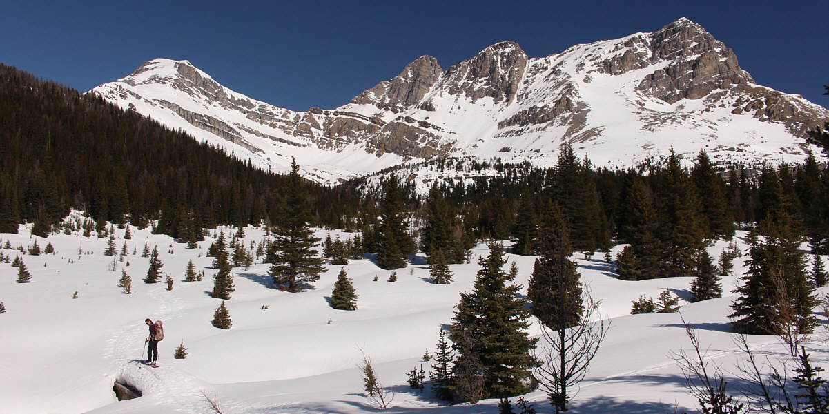 The ski ascent of Ptarmigan Peak may have to wait another year...