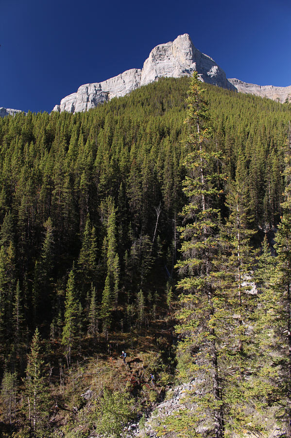 In the trees on the other side, be sure to turn left and DESCEND into Three Sisters Creek.