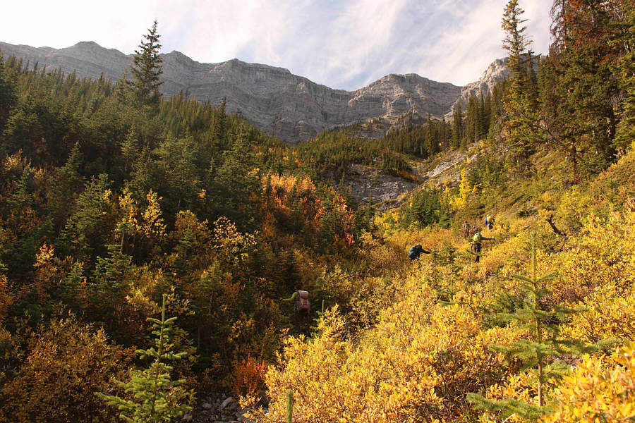 It seemed like we would never escape all this vegetation.