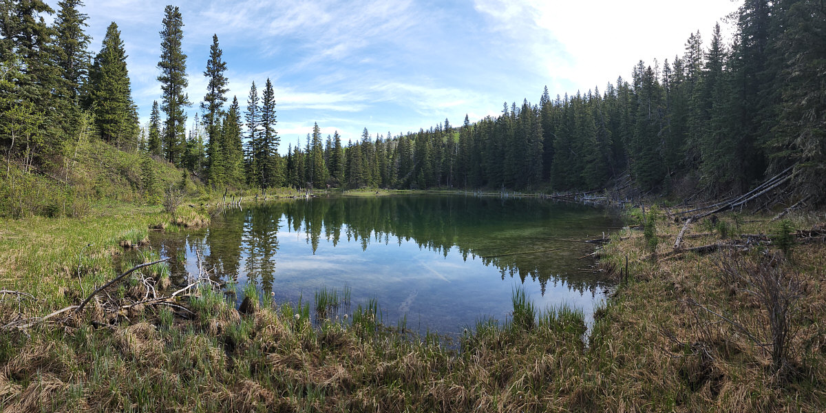 Good place for skinny dipping on a hot day!