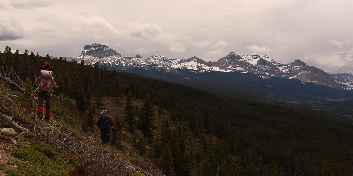 So much for the views--time for more bushwhacking!