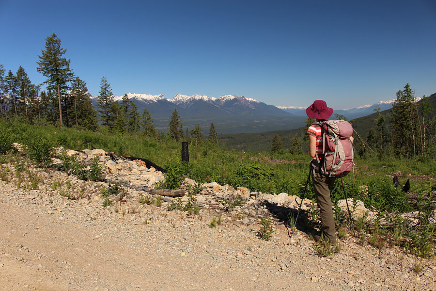 The best views on this hike are from the logging road!