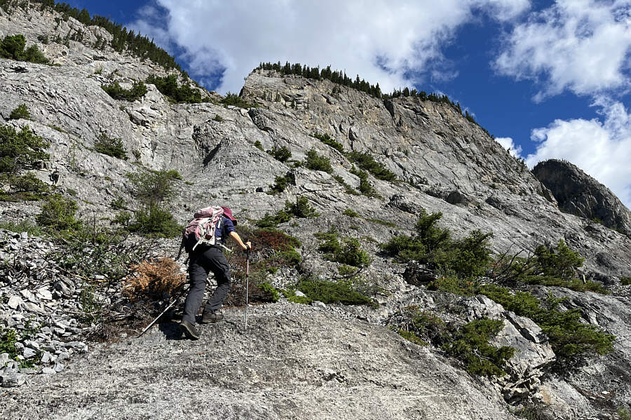 It's possible to scramble quite high without ropes, but what would be the point?