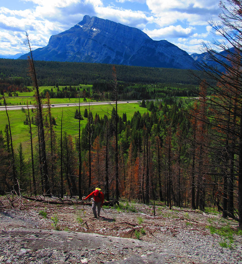 Not sure where we're headed for, but at least there are some views!