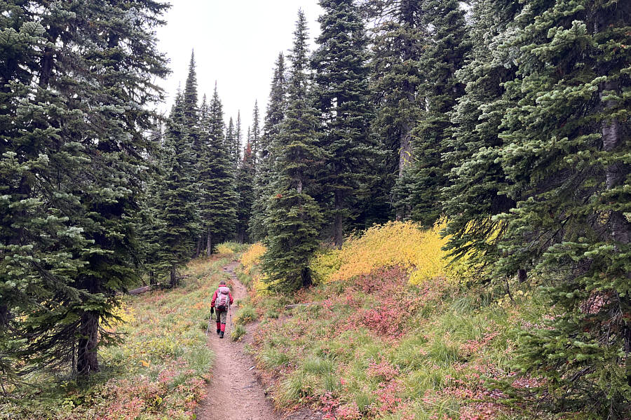 Excellent trail even in wet weather.