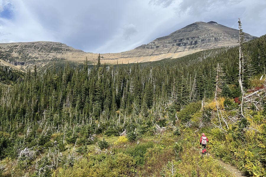 And of course, the sun comes out just as we get back to the trailhead...DOH!