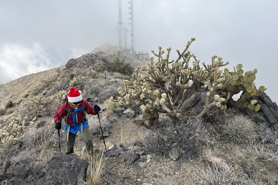 Yep, need to always pay attention even when on a trail!