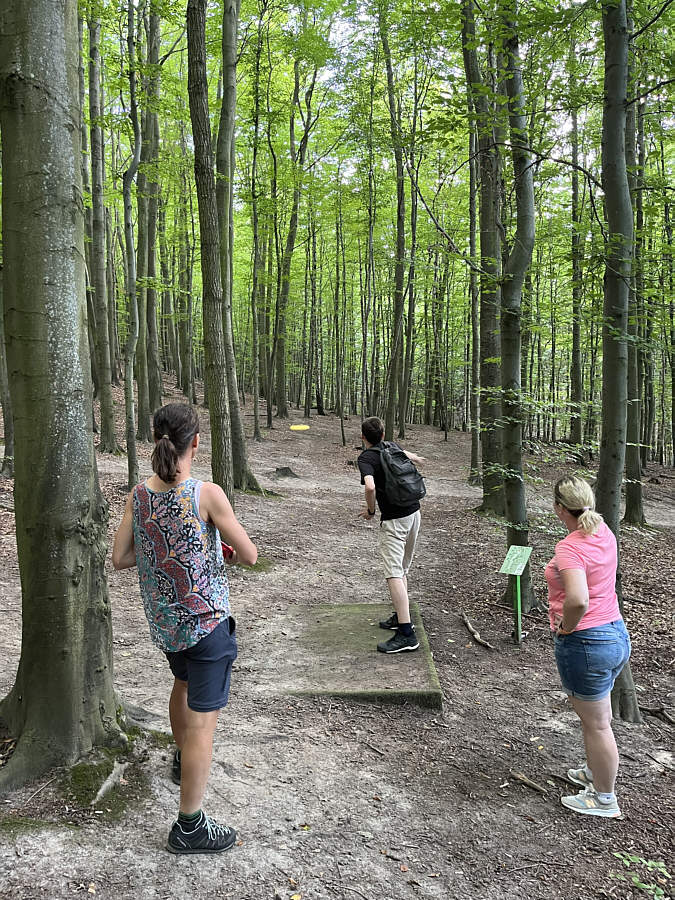 Beautiful forest to play disc golf!