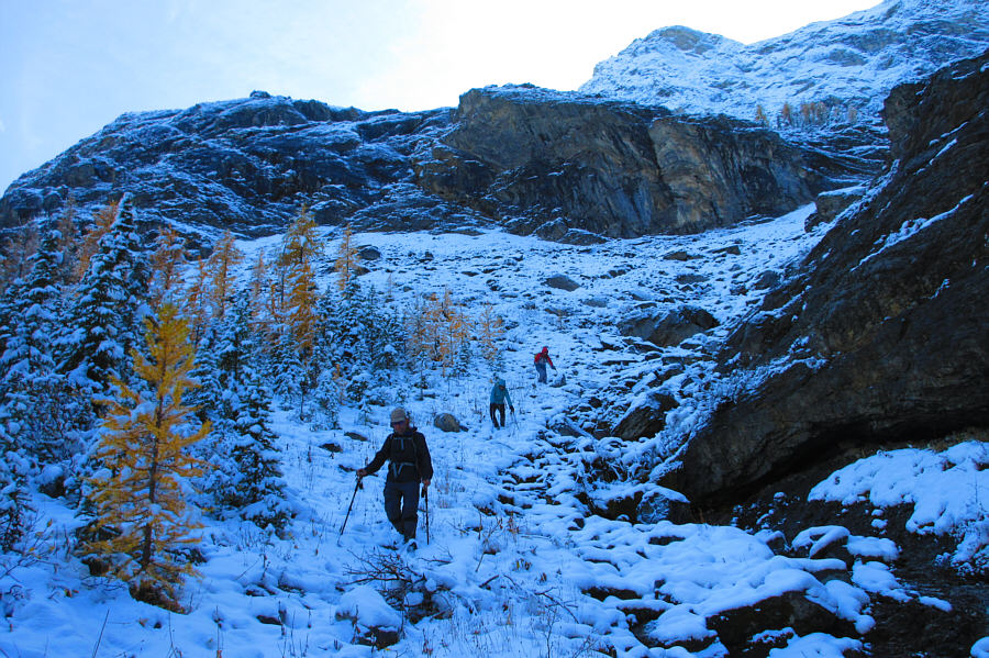 And with pretty golden larches to boot!