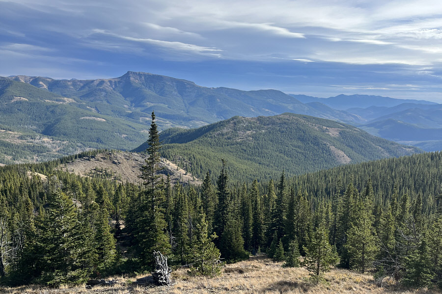 That southern high point of Cabin Ridge is calling my name!