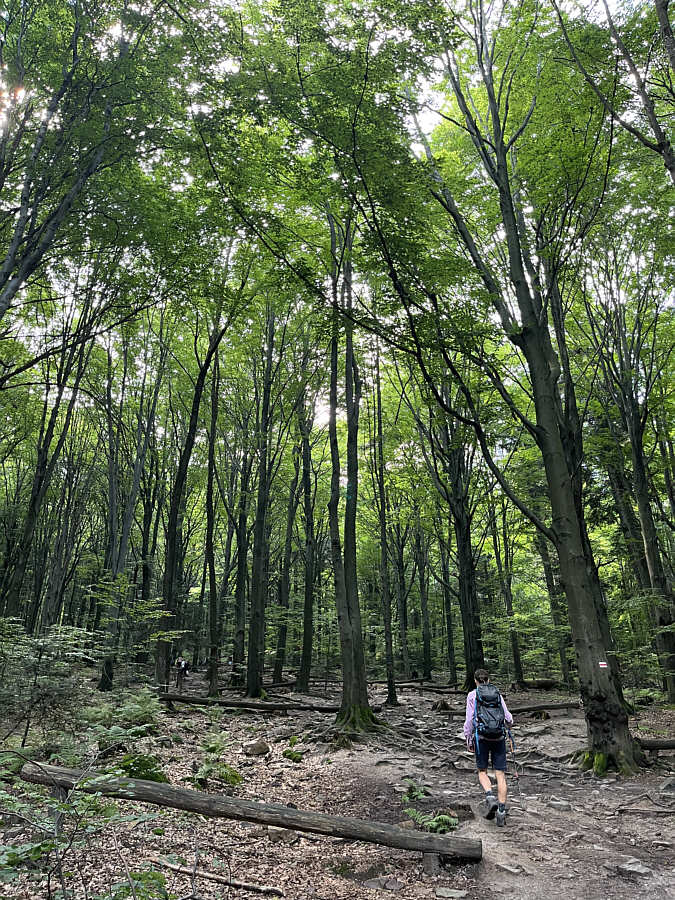 Good hike for a hot summer day!