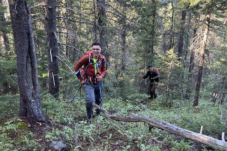 Need to find the trail or you're in for some miserable bushwhacking!