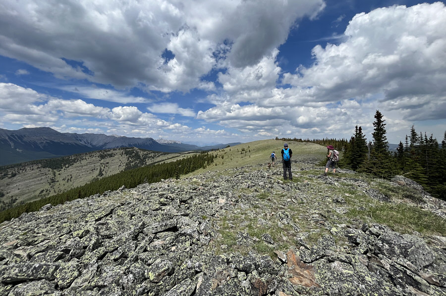 Avoid the trail if you want to tag the high point!