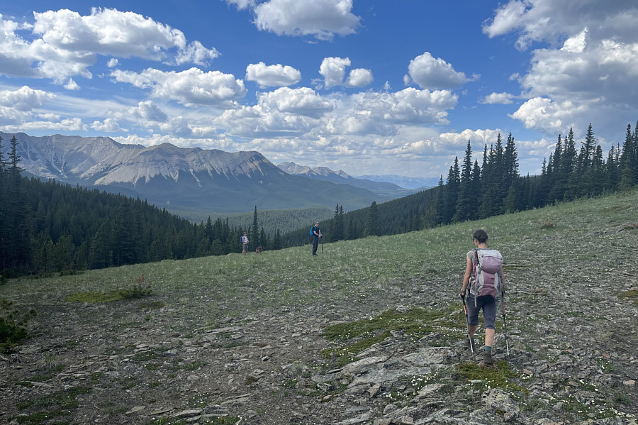 It is best to avoid this route and descend the official trail back at Powderface Pass!