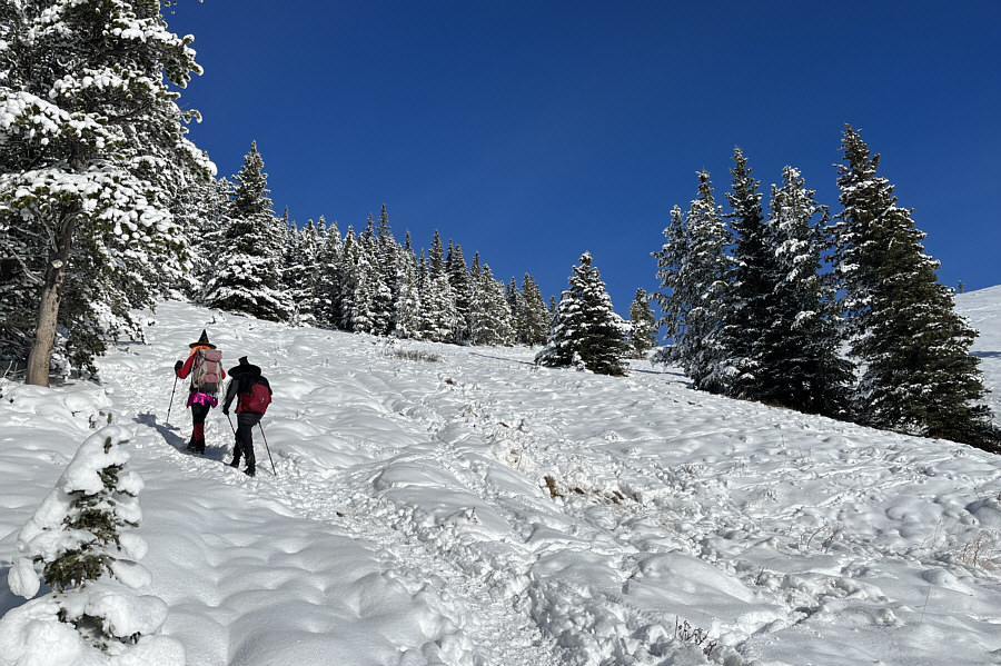 Looks like this would be a great ski run in winter!