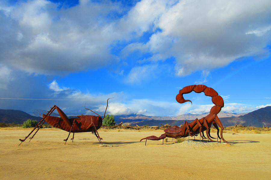 Who would win in a fight between a grasshopper and scorpion?