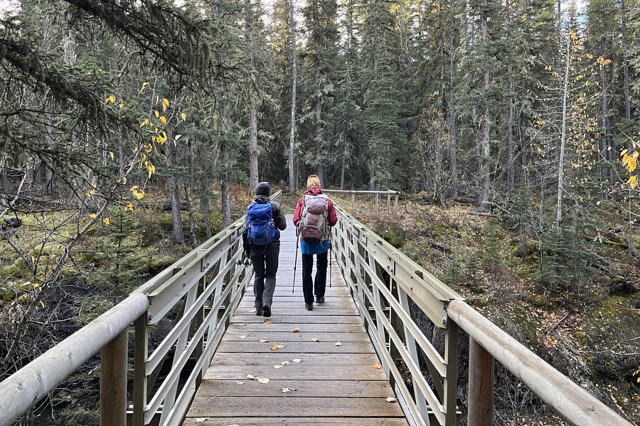 You know it will be a good hike when there is a bridge at the beginning!