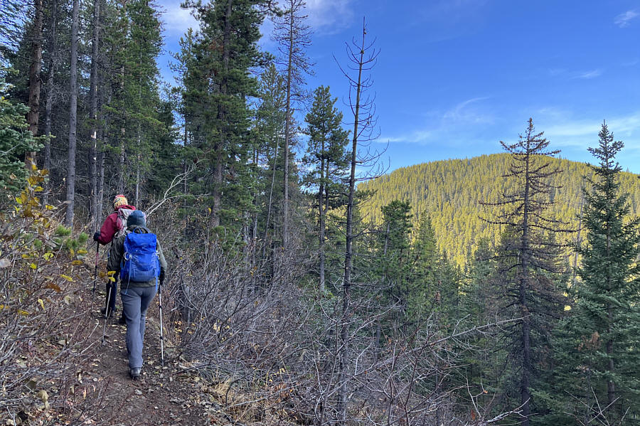 Oh great...another treed summit!