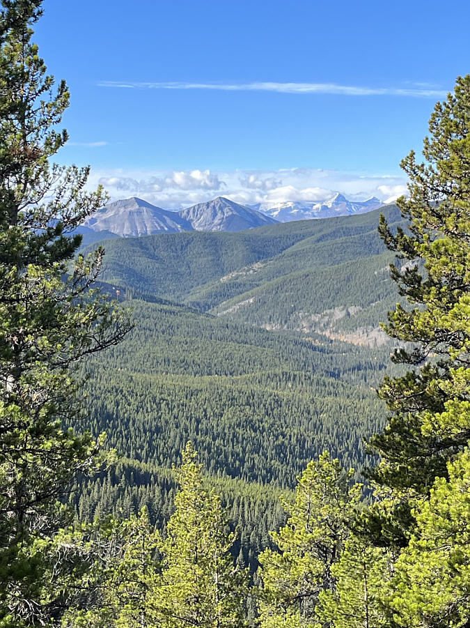 Namely (L to R), Midday Peak, Midnight Peak, Mount Sparrowhawk (obscured by clouds), Wind Mountain, and 3rd Peak of Mount Lougheed.