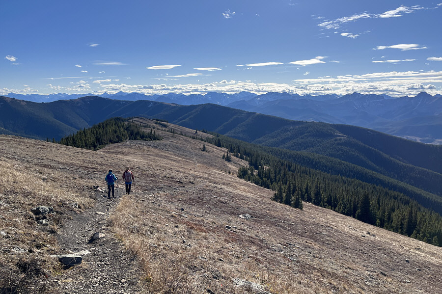 We ran into a couple of hardcore mountain bikers coming up this way.