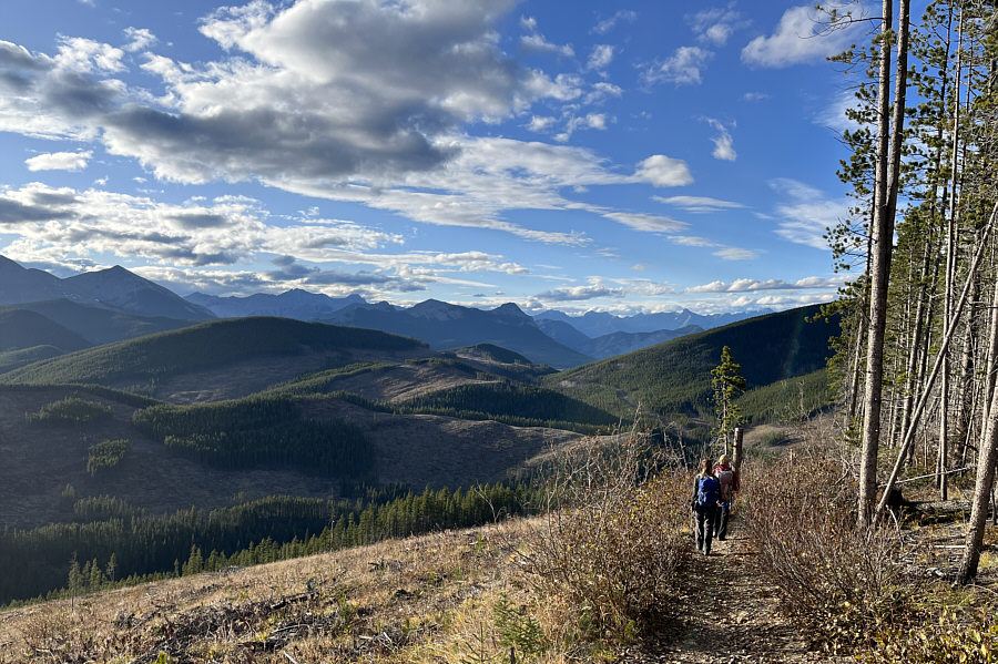 Nice scenic end to a long hike.