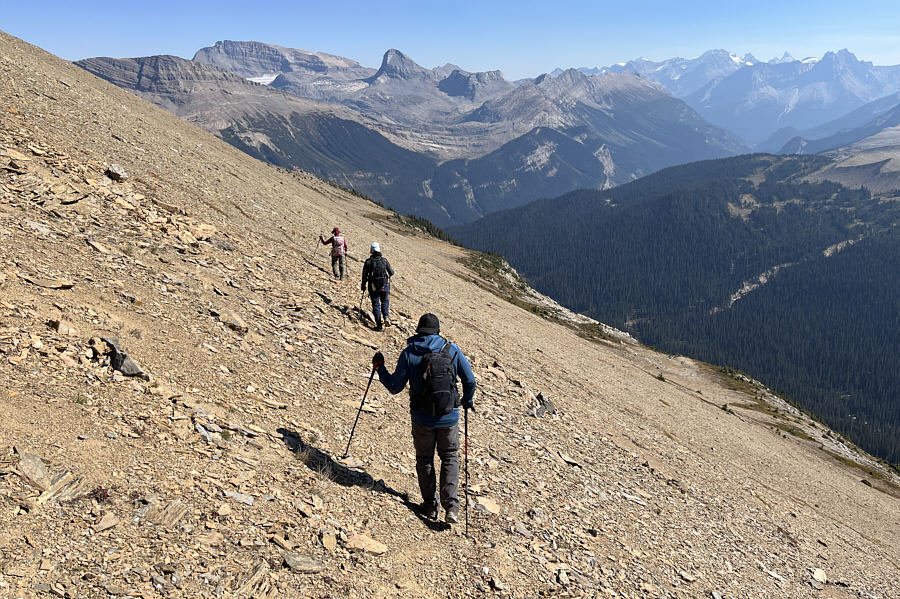 Maybe a nice trail will develop if enough people and sheep/goats go this way...