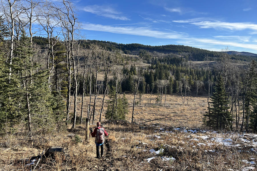 The high point is actually behind the trees at far left.