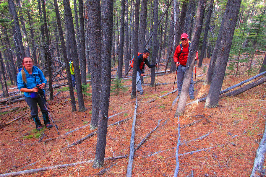 Off-trail travel was generally easy throughout the whole area.