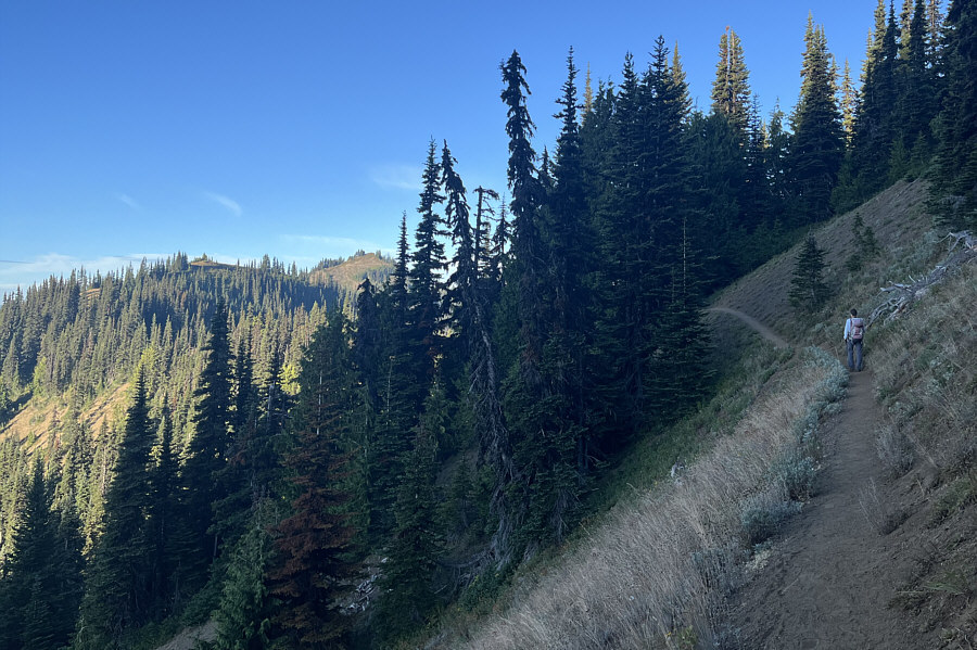 Would be nice to come back and hike the connecting ridge and maybe nearby Klahane Ridge as well.