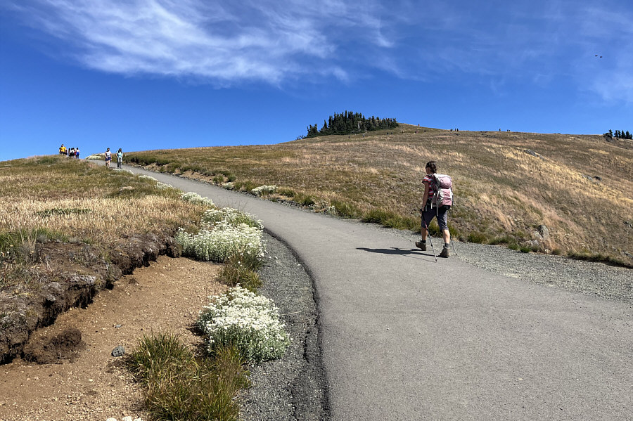 I'd love to ride my ebike up this pathway!