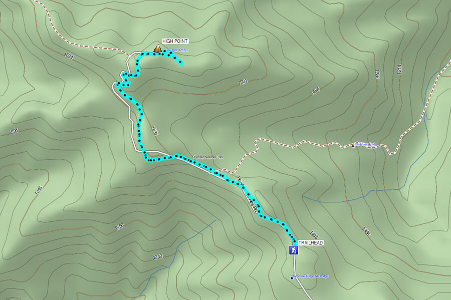 Likely the busiest trail on the Olympic Peninsula if not the entire state of Washington.