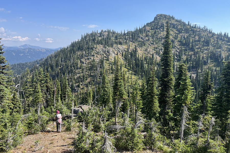 Of course the summit is NEVER the closest bump along the ridge!