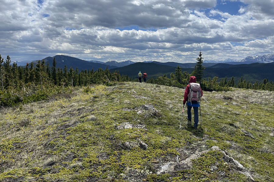 Alas, the scenic views are short-lived on this hike!