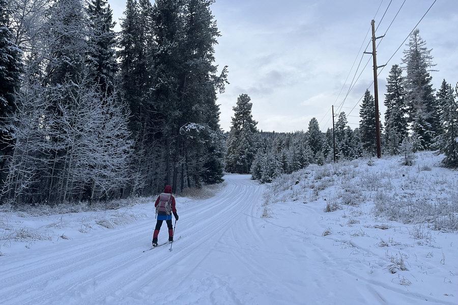 I probably coulda kept driving, but we're here to ski, right?