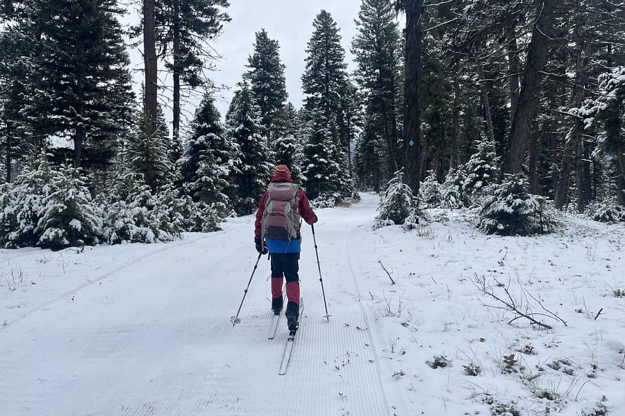 The trail is called "Mountain View", but ironically, there aren't any!