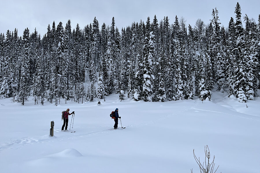 Hard to tell from here, but get ready for a stiff climb in the forest!