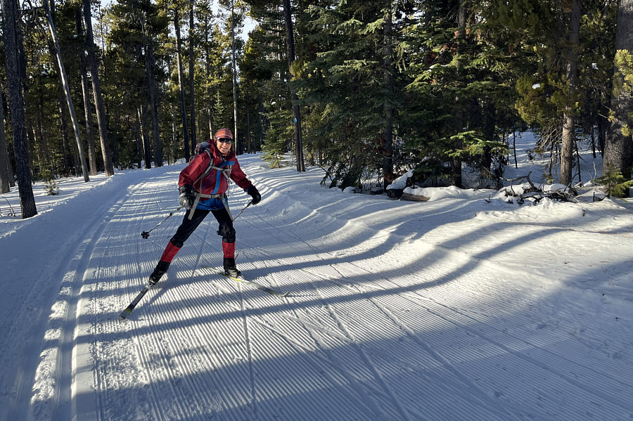 Ironically, she's trying to sell her skate skis!