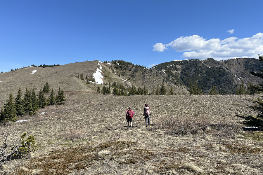 If this area ever retained any snow, it would make for a great ski tour!